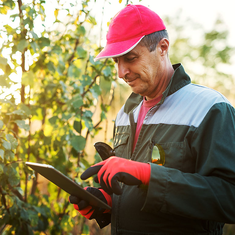 Autoconsumo para finca de riego